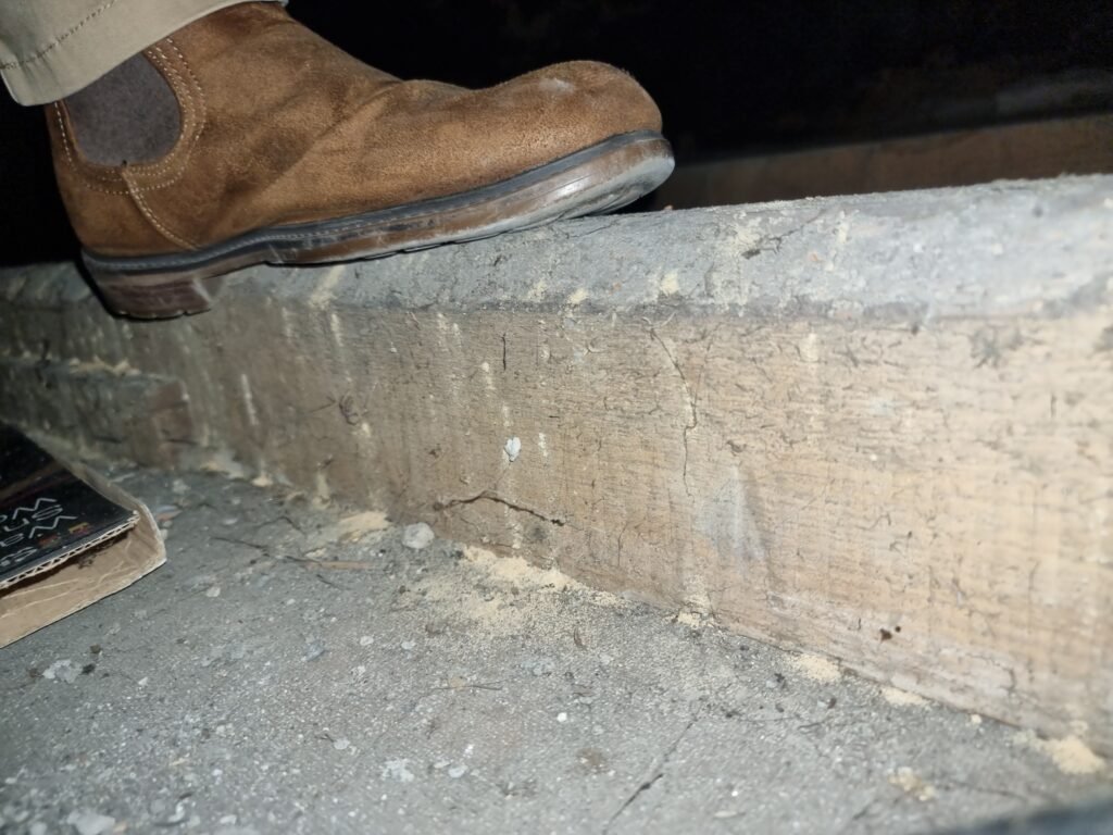 active woodworm sligo property survey